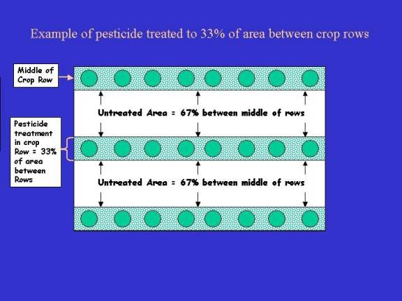 Example of pesticide treated to 33% of area between crop rows